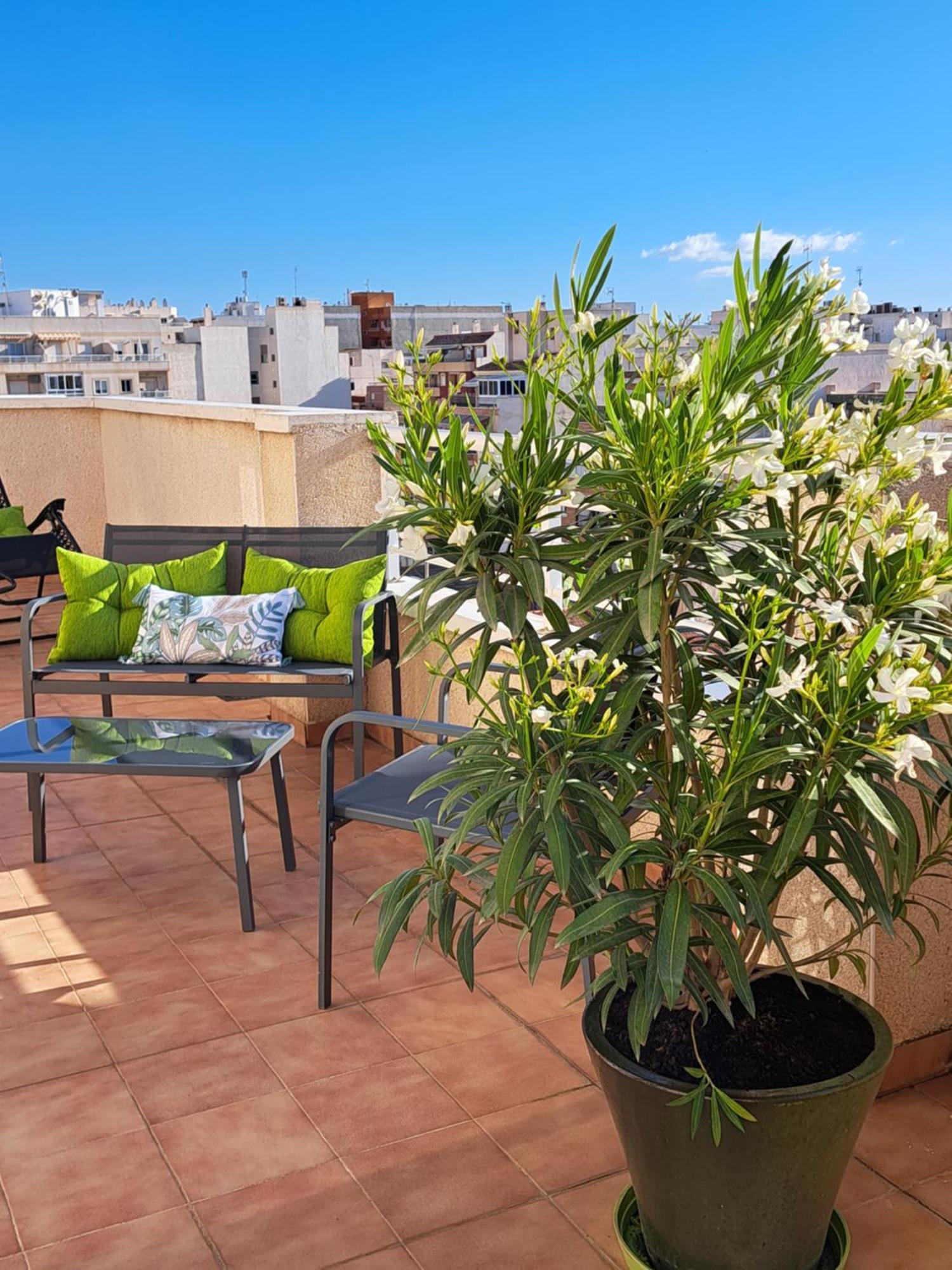 Atico Roof Top Torrevieja Exteriör bild